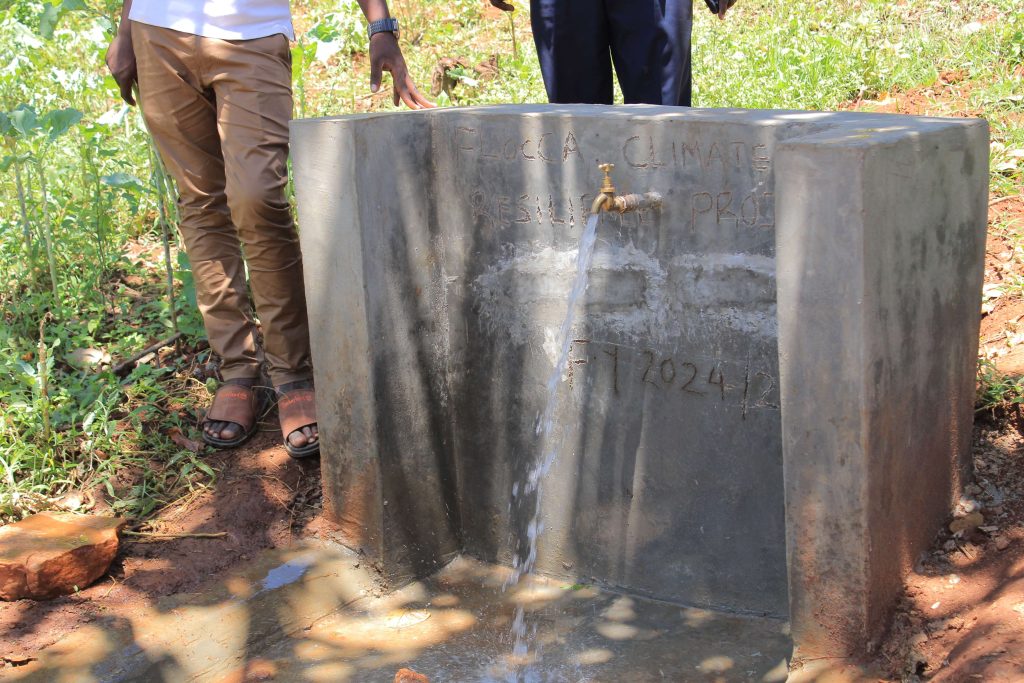 Nyasasa Scheme communal Water Point
